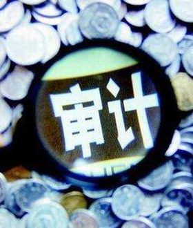 審計(獨立性的經濟監督活動) 審計(獨立性的經濟監督活動)