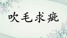 吹毛求疵(成語) 吹毛求疵(成語)