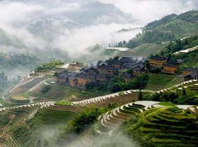 龍脊梯田 龍脊梯田