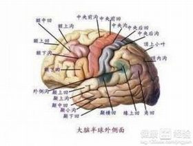 繼發性 繼發性