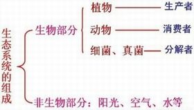 非生物因素